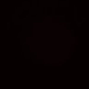 Meet your Posher, Portia